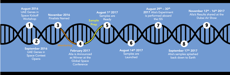 Alia Gis Timeline Mentoring and Sample Prep