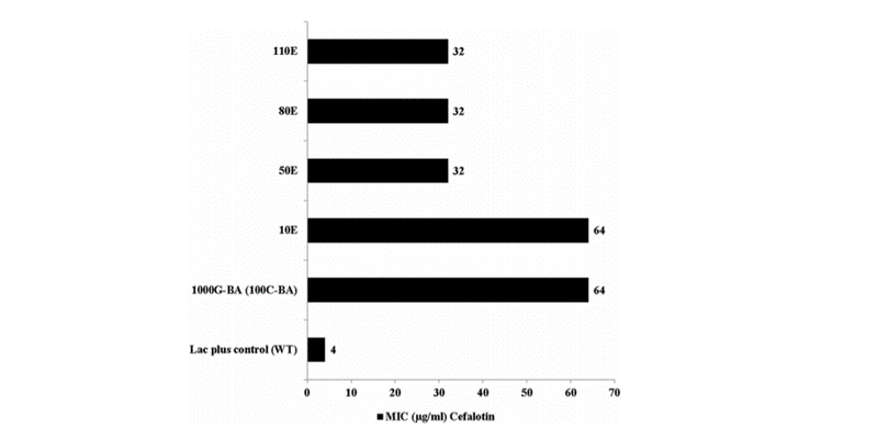 research brief - Tirumalai et al fig 2