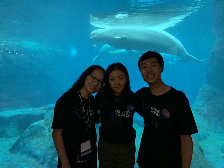 2019 finalists in aquarium